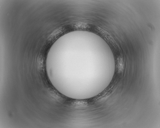 X0000116150619200912071305