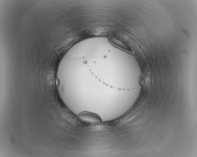 X0000116150620200912071305