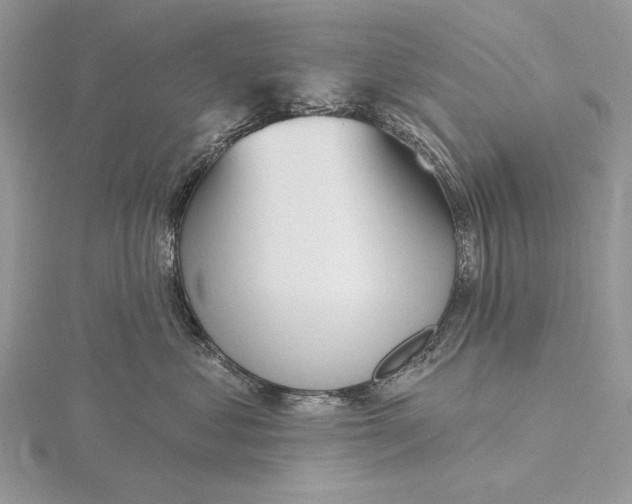 X0000116150621200912071305