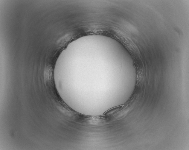 X0000116150623200912071305