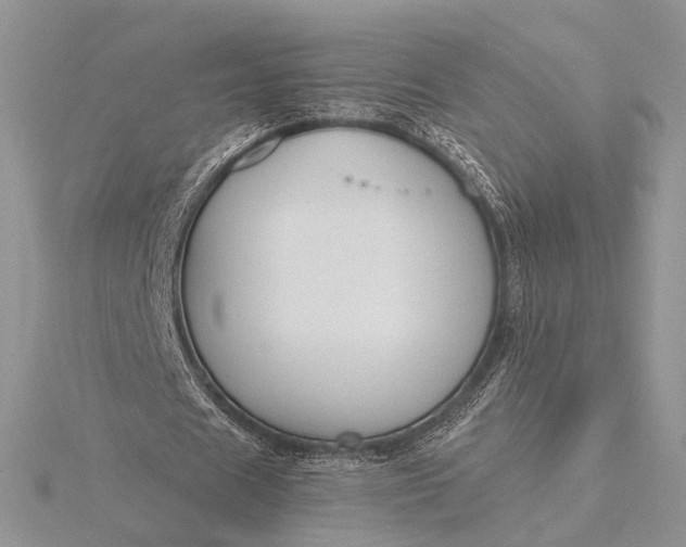 X0000116150625200912071304