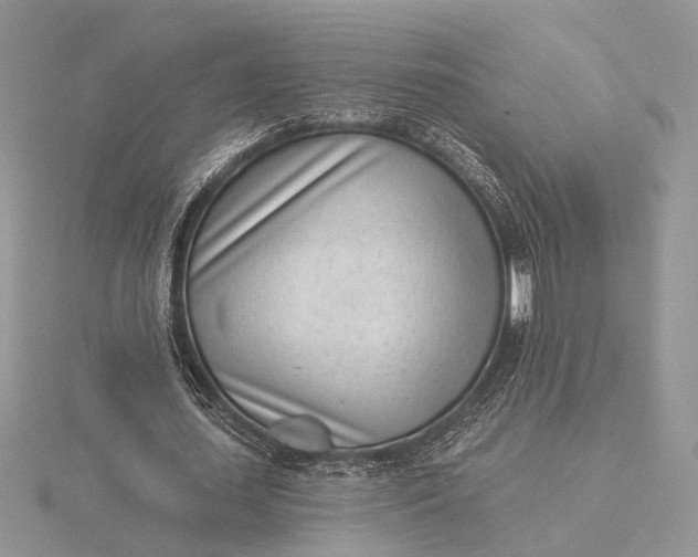 X0000116150627200912071304