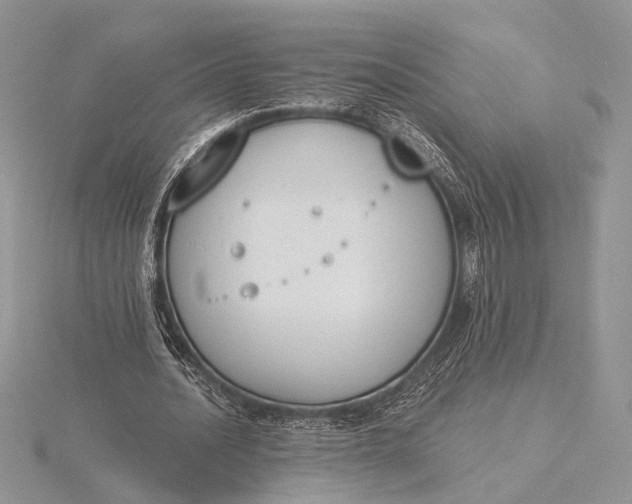 X0000116150628200912071304