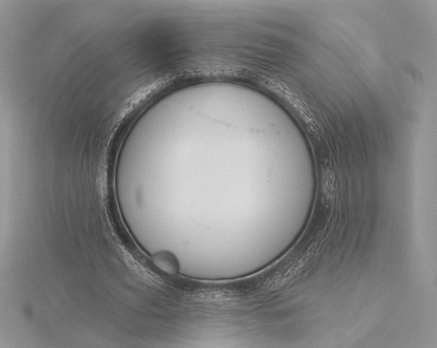 X0000116150629200912071304