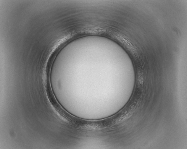 X0000116150630200912071304