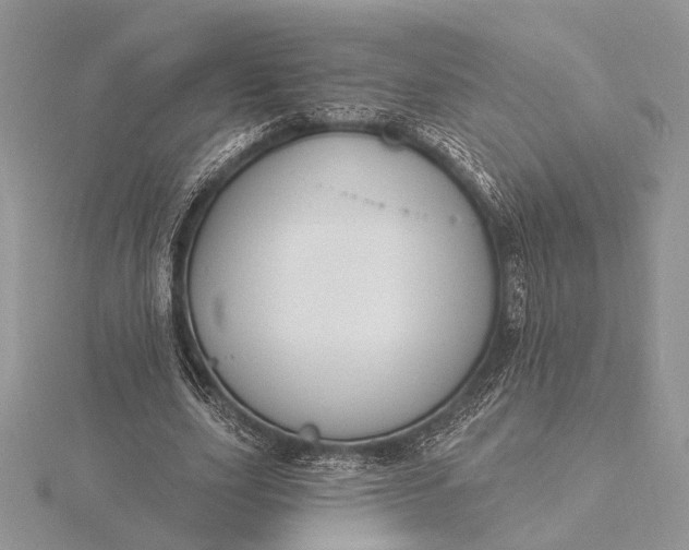 X0000116150631200912071304