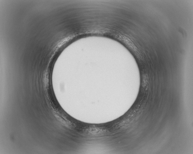 X0000116150632200912071304