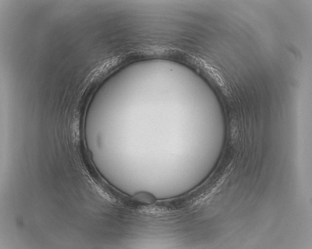 X0000116150633200912071304