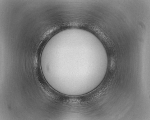 X0000116150636200912071304