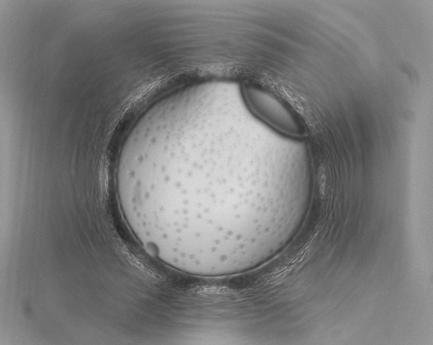 X0000116150637200912071304