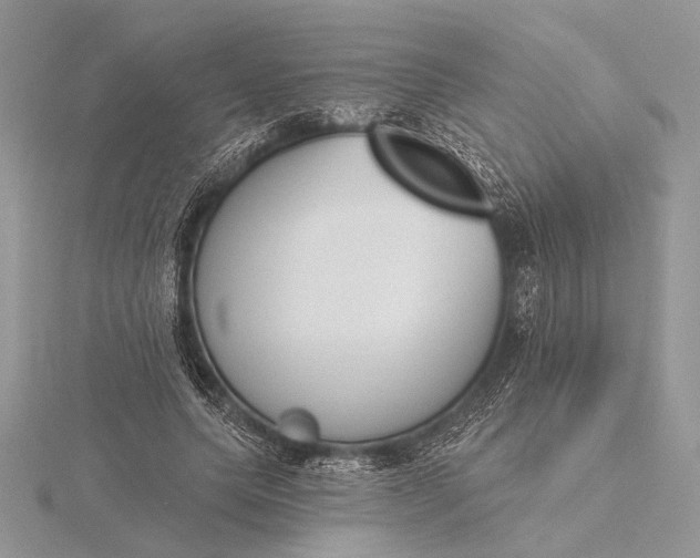 X0000116150639200912071305