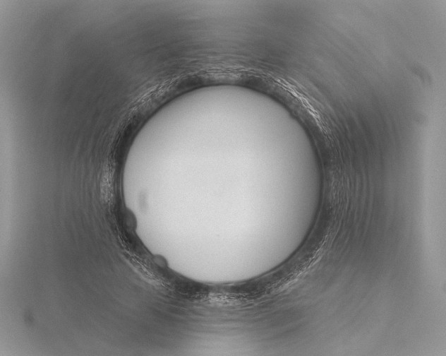 X0000116150641200912071305