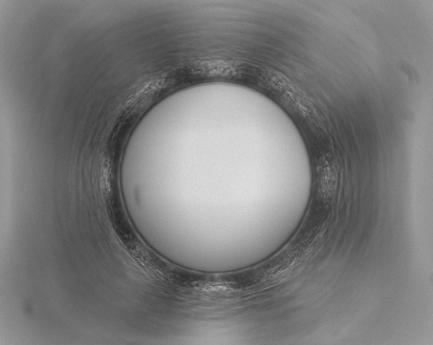 X0000116150643200912071305