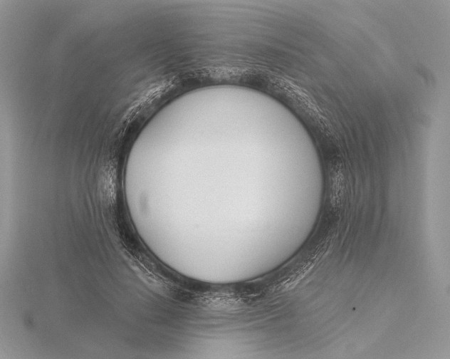 X0000116150644200912071305