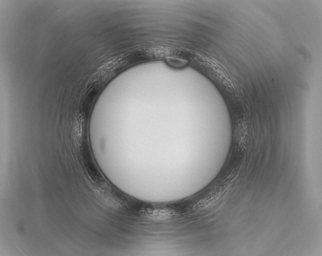 X0000116150645200912071305