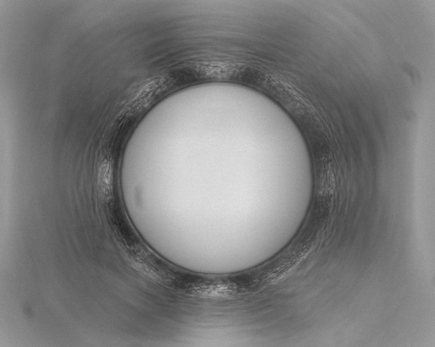 X0000116150646200912071305