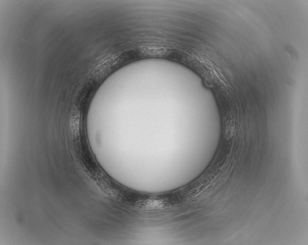 X0000116150647200912071305