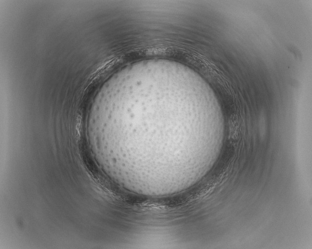 X0000116150648200912071305