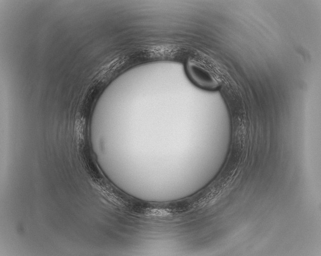 X0000116150649200912071305