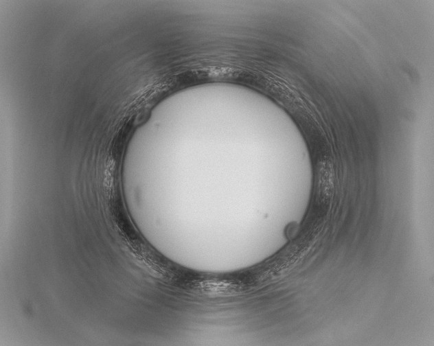 X0000116150650200912071305