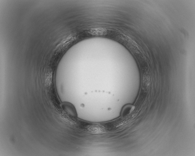 X0000116150652200912071305