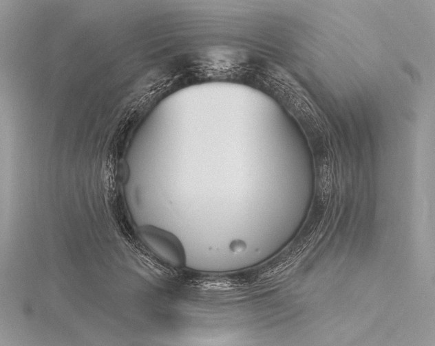 X0000116150653200912071305