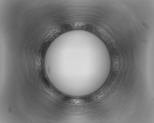 X0000116150654200912071305