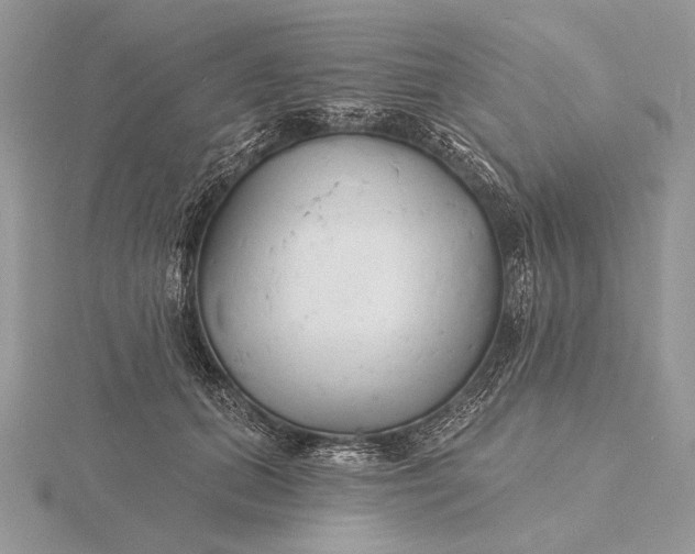 X0000116150655200912071305