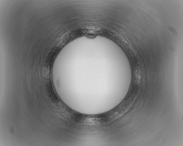 X0000116150657200912071305