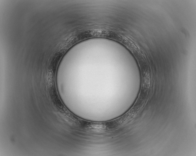 X0000116150659200912071305