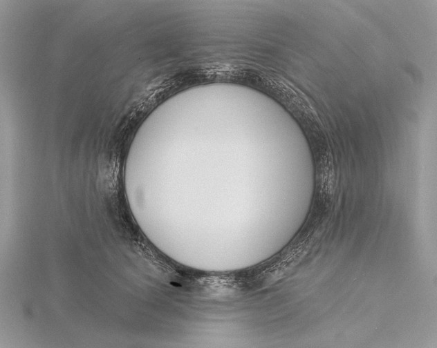 X0000116150660200912071305