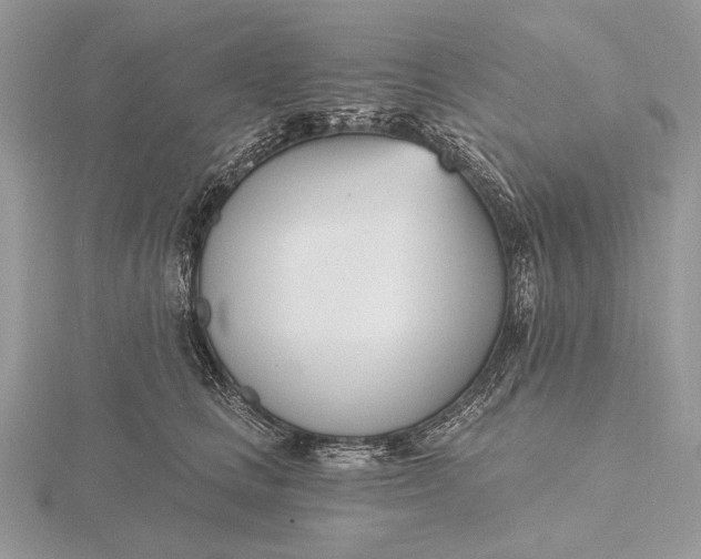 X0000116150661200912071305