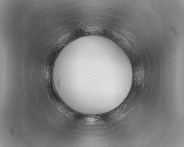 X0000116150662200912071305