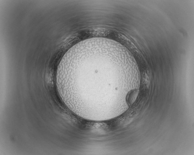 X0000116150663200912071305