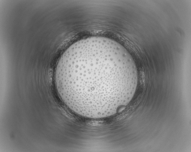 X0000116150664200912071305