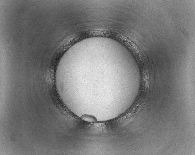 X0000116150665200912071305