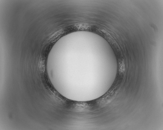 X0000116150666200912071305