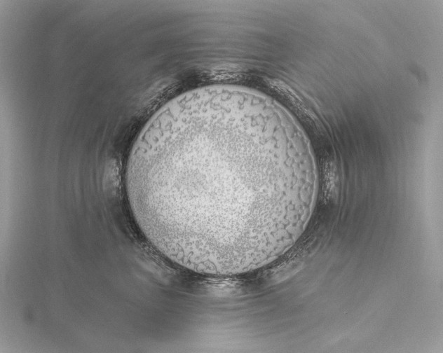 X0000116150667200912071305