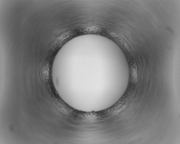 X0000116150668200912071305