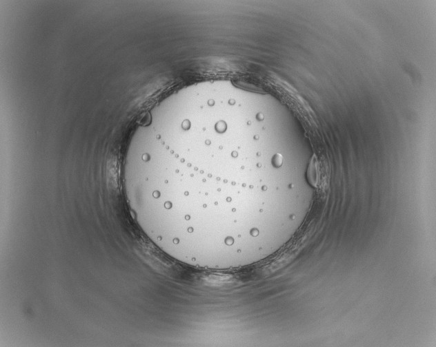 X0000116150669200912071305