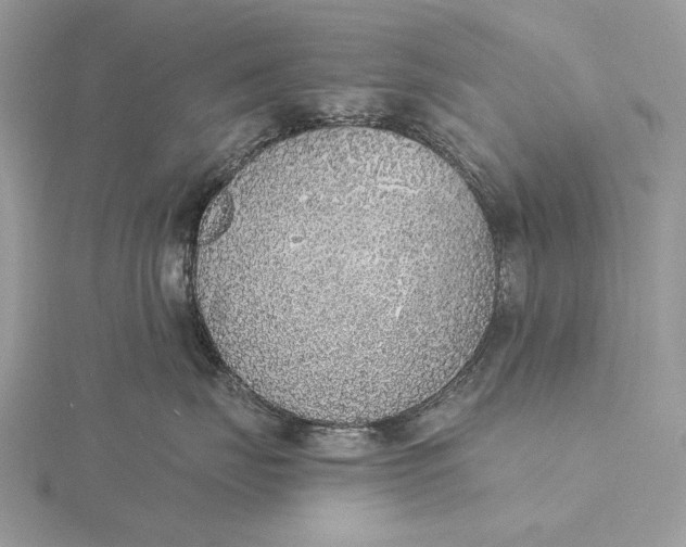 X0000116150671200912071305