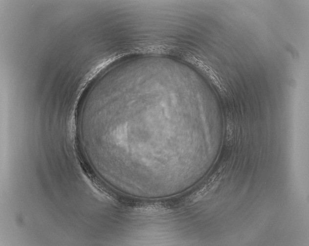 X0000116150674200912071304