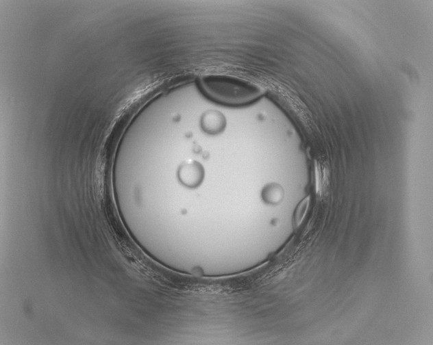 X0000116150675200912071304