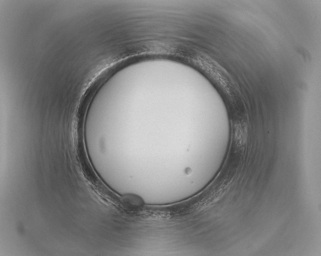 X0000116150676200912071304