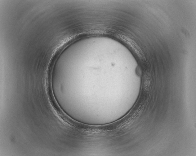 X0000116150677200912071304