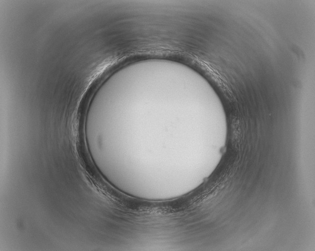 X0000116150679200912071304