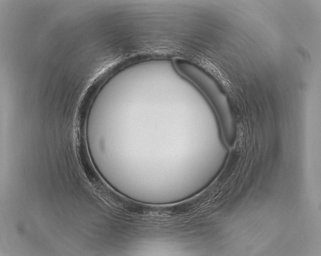 X0000116150680200912071304