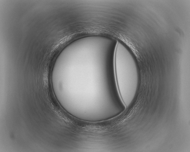 X0000116150681200912071304