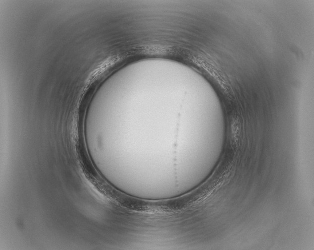 X0000116150682200912071304