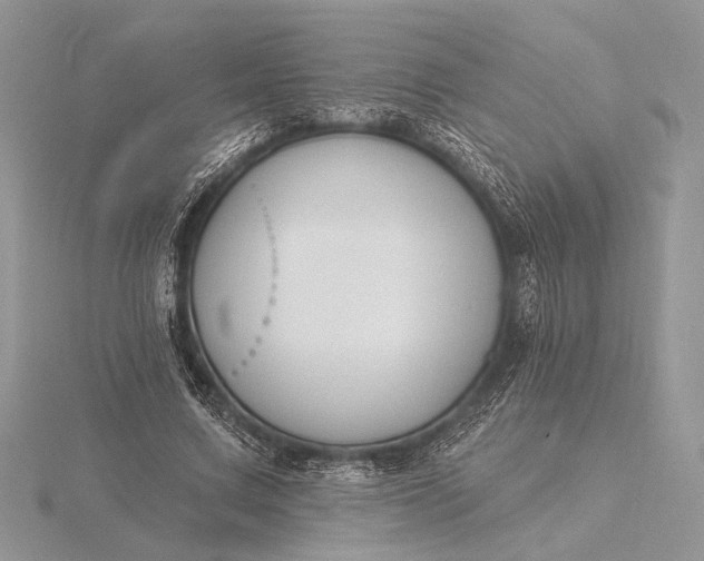 X0000116150683200912071304